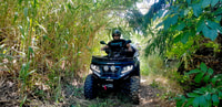 Agrigento, Off-Road ATV Tour - Housity