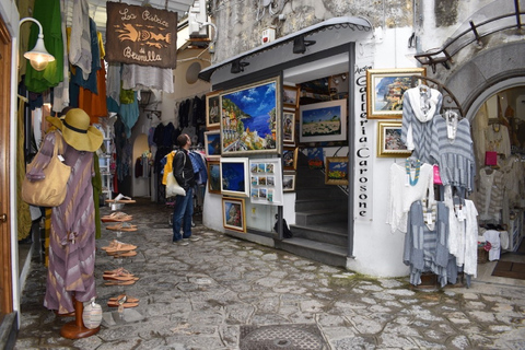 Naples : Tour en petit groupe de Positano et d'Amalfi en bateauVisite en anglais et en italien