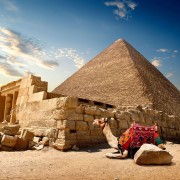 Il Cairo: tour delle Grandi Piramidi di Giza e del Museo Egizio