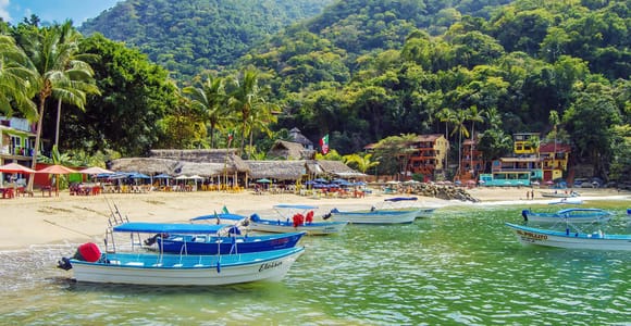 Puerto Vallarta: SouthBay beach & waterfall safari w/Lunch