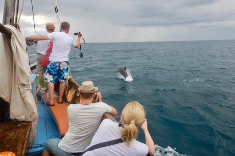 From Diani: Kenya's Ultimate Dolphin & Snorkeling Day Trip PRIVATE ALL-INCLUSIVE PACKAGE: Pickup|Lunch|Dolphin|snorkel