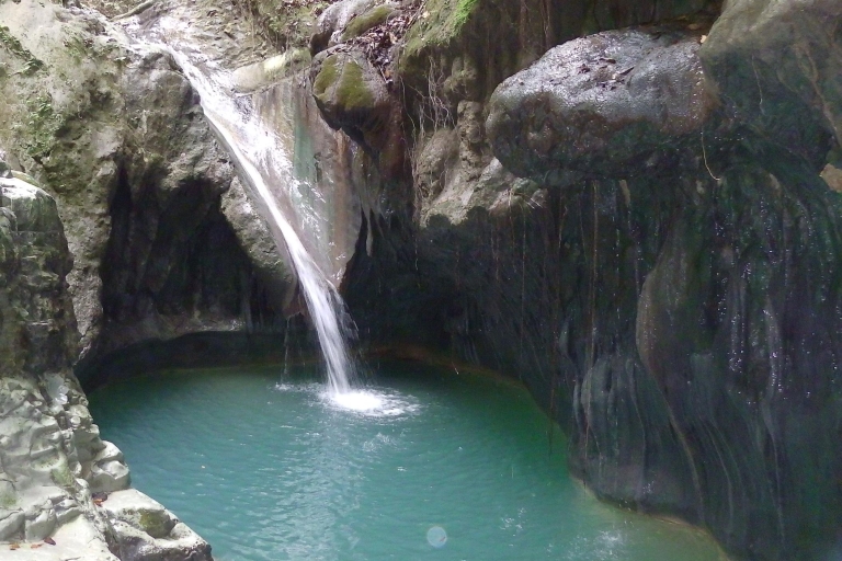 Puerto Plata: cascades de Damajagua avec balade en calèche ou à chevalCascades et promenades à cheval à Damajagua