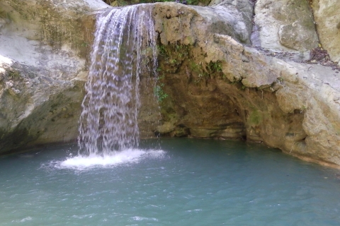 Ab Puerto Plata: Wasserfälle von Damajagua - Halbtagestour12 Wasserfälle