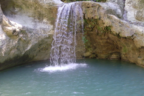 Ab Puerto Plata: Wasserfälle von Damajagua - Halbtagestour12 Wasserfälle