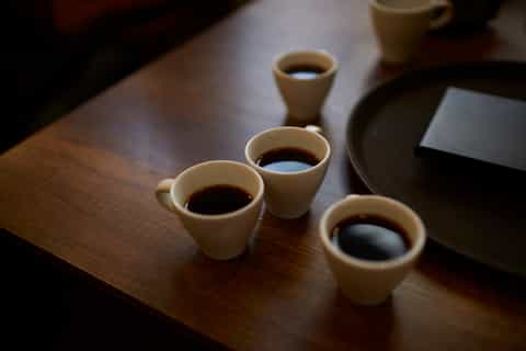 Bogota: Food Discovery Tour