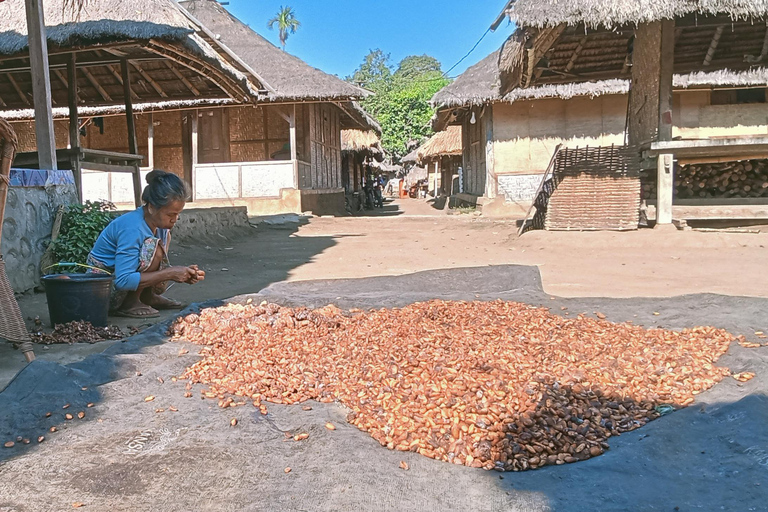 Lombok: Gili Meno Snorkeling, Waterfalls and Village Tours