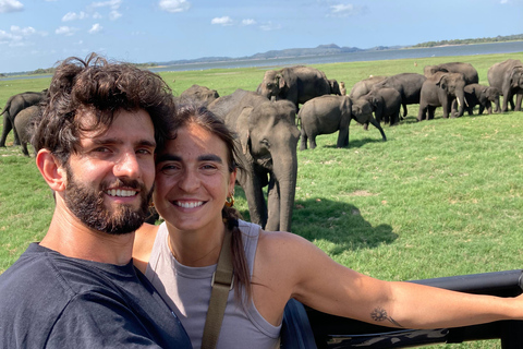 Sigiriya: Rock Hike, Elephant Safari & Polonnaruwa City Tour