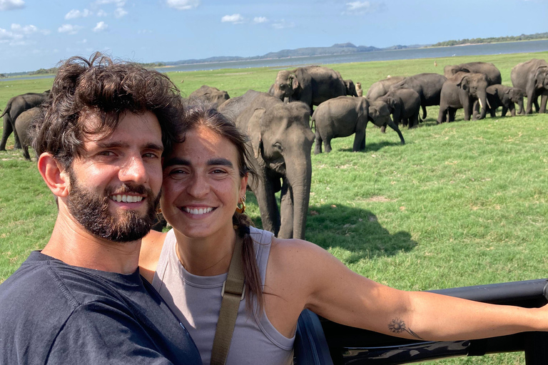 Sigiriya: Rock Hike, Elephant Safari & Polonnaruwa City Tour