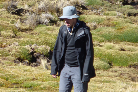 Wanderung Charquini und Lagunen von Huayna Potosí (Westseite)Wandern in Charquini und Lagunen von Huayna Potosí (Westseite)