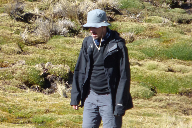 Wanderung Charquini und Lagunen von Huayna Potosí (Westseite)Wandern in Charquini und Lagunen von Huayna Potosí (Westseite)