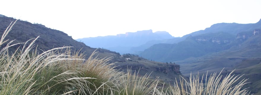 Sani Pass : Excursion d'une journée depuis Durban