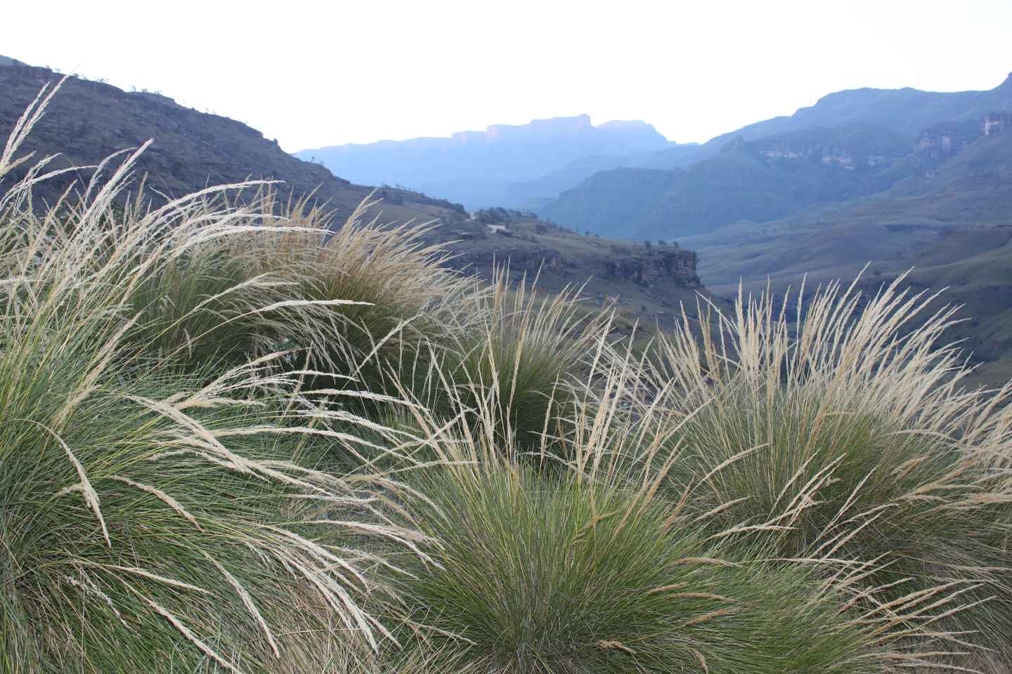 Sani Pass: Day Tour from Durban - Sani Pass: Day Tour from Durban