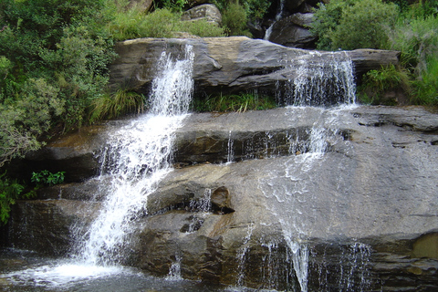 Sani Pass: Dagstur från DurbanFrån Durban: Sani Pass Day Tour