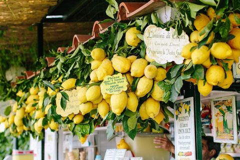 Vanuit Positano: Sorrento kust & Capri hele dag per bootRondleiding in het Engels