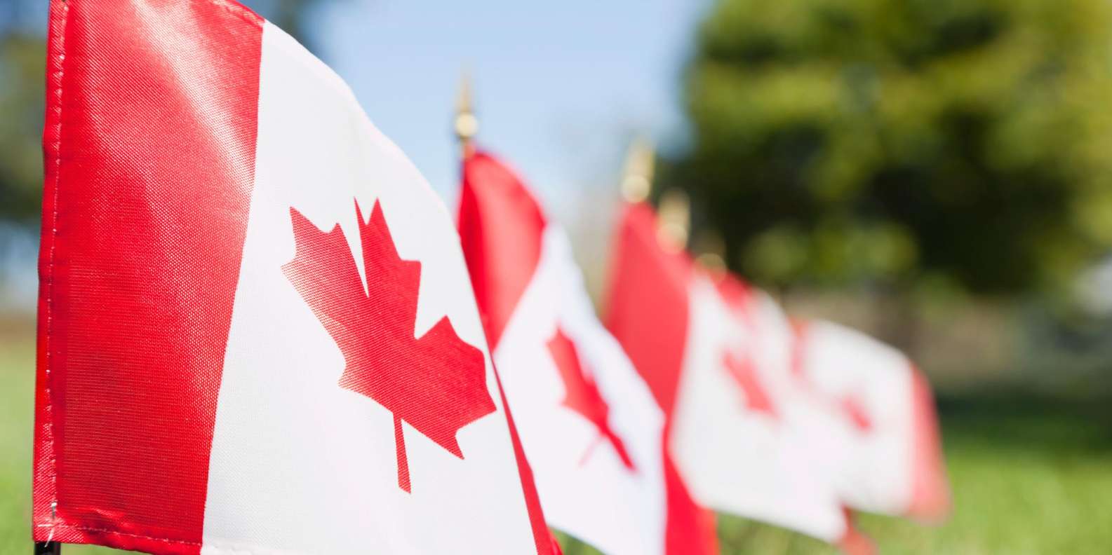 Happy Canada Day! Celebrate with these 10 awesome Canadian baseball  memories