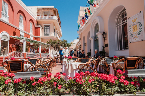 Da Positano: escursione di una giornata intera in barca sulla costa sorrentina e a CapriTour in inglese