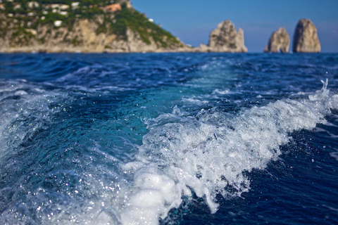 Da Positano: escursione di una giornata intera in barca sulla costa sorrentina e a CapriTour in inglese