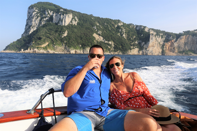 Depuis Positano : excursion d'une journée en bateau sur la côte de Sorrente et à CapriVisite en anglais