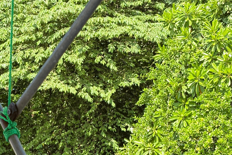 Bentota: River Boat Safari and Tuk-Tuk Ride with Pickup-Drop