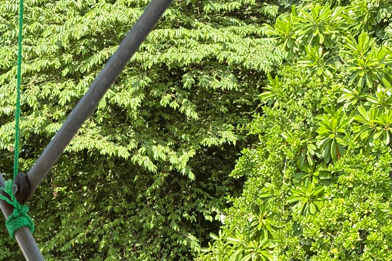 Bentota: River Boat Safari and Tuk-Tuk Ride with Pickup-Drop