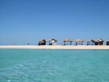 Cayo Arena: Excursión Isla Paraíso y Manglares