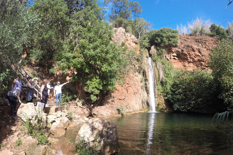 Albufeira: safari in jeep dell&#039;Algarve di mezza giornata