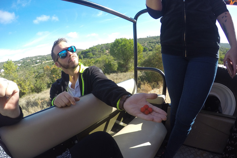 Albufeira: safari in jeep dell&#039;Algarve di mezza giornata