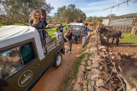 Vanuit Albufeira: halfdaagse jeepsafari Algarve