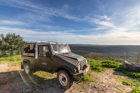 Ab Albufeira: Halbtägige Algarve-Jeepsafari