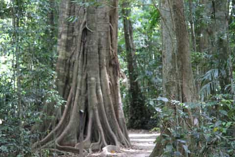 From Brisbane: Noosa and Sunshine Coast Day Trip
