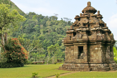 Yogyakarta: Selogriyo Tempel Tour & Java Reisterrassen Trek