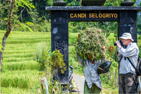 Yogyakarta: Wycieczka do świątyni Selogriyo i wędrówka po tarasach ryżowych Jawy