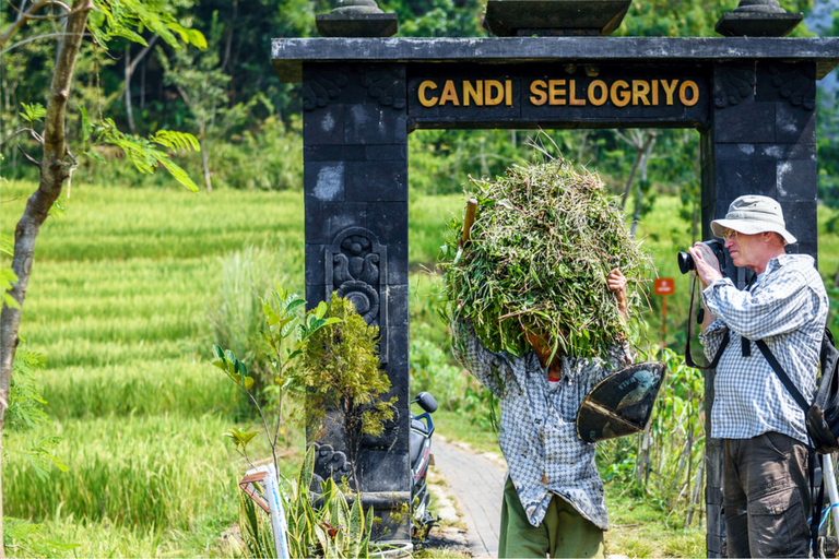 Yogyakarta: Rundtur i Selogriyo-templet &amp; vandring på Java Rice Terrace