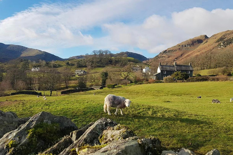 From London: Lake District Private One-Day Trip with Driver