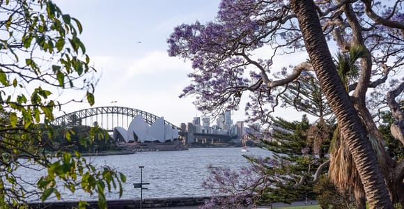 Sydney Your Way: Customizable Private Tour with Local Guide