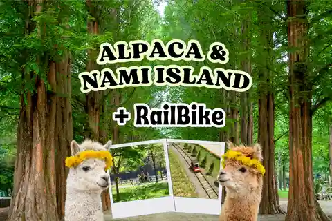 Сеул: Alpaca World и остров Нами (+велорельсовый велосипед в Канчоне)