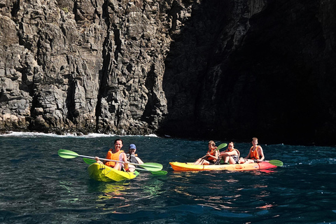 Tenerife: Turtle Bay - Kayak Rental with Drink and Equipment