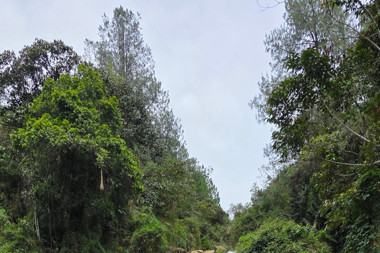 Medellín: Towns, Desserts & Viewpoints Day Tour