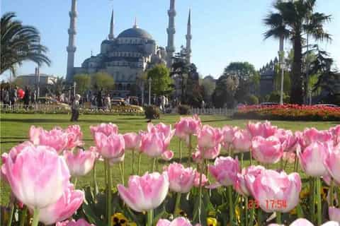 Istanbul: Blue Mosque & Hagia Sophia Small-Group Tour