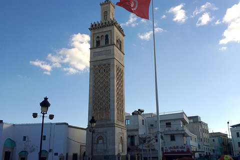 Utflykt till Kartago, Sidibousaid och Medina i Tunis