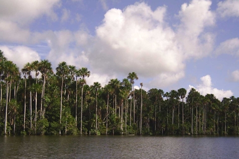 excursion à tambopata : aventure en amazonie 3D/2N