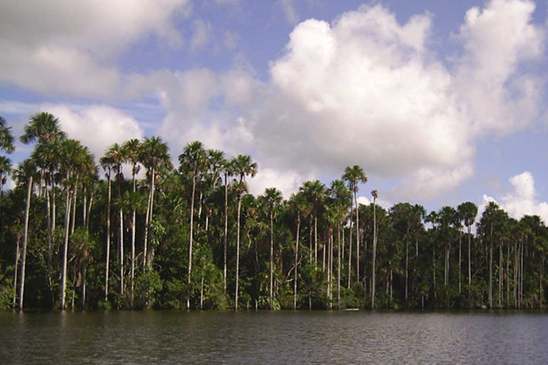 Tocht naar tambopata: amazoneavontuur 3D/2N