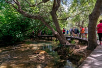 From Zadar, Krka National Park and Waterfalls Day Trip - Housity