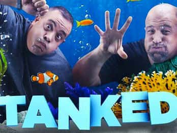 Las Vegas: Reality-Show-Tour auf Deutsch Las Vegas: Reality-Show-Tour auf Deutsch