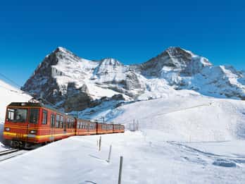 Ab Zürich: Tagestour zum Jungfraujoch - die Spitze Europas Ab Zürich: Tagestour zum Jungfraujoch - die Spitze Europas