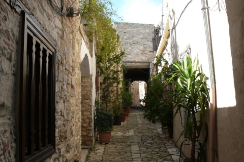 Larnaca: Lefkara Lace, Choirokoitia y tour de observación de avesTour con recogida desde Larnaca