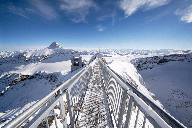 Glacier 3000: Ticket kabelbaanTicket met Swiss Travel Pass-korting