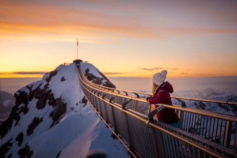Glacier 3000: Ticket kabelbaanTicket met Swiss Travel Pass-korting