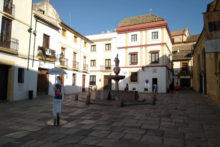 Recorrido a pie por los lugares destacados de Córdoba