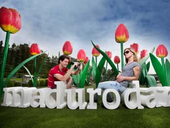 Kombi-Angebot: Keukenhof ab Den Haag & Madurodam Kombi-Angebot: Keukenhof ab Den Haag & Madurodam
